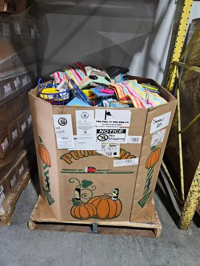 CVS Summer Goods Liquidation Pallet