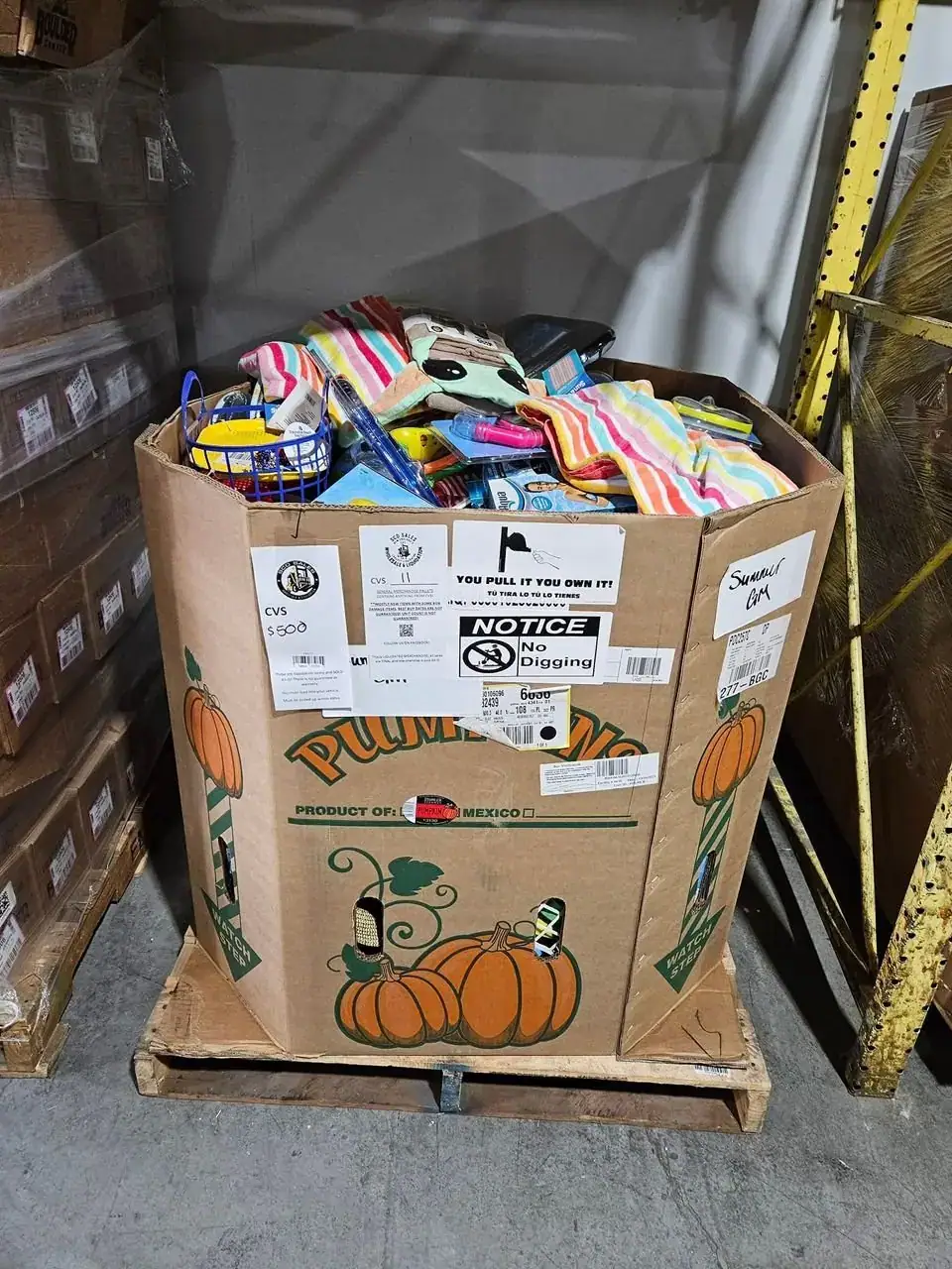 CVS Summer Goods Liquidation Pallet
